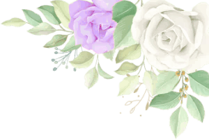 FLORES2