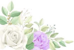 FLORES3-VILELTA