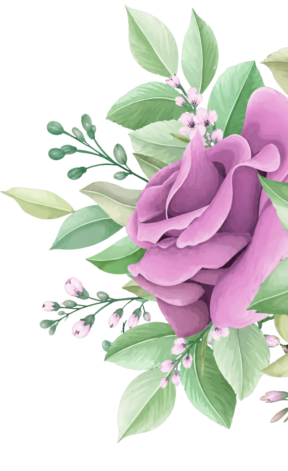 flores-moradas